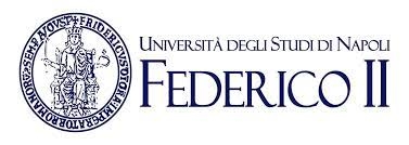 Univ Federico II